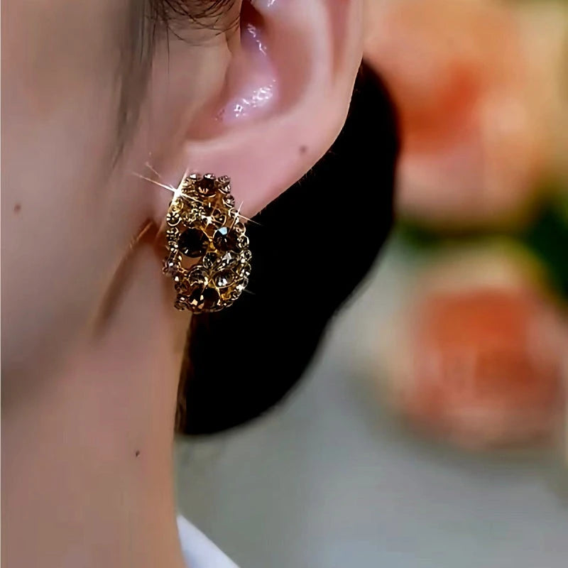 Model showcasing the dangle and style of the 14K Gold-plated Luxury Brown Crystal Stud Earrings