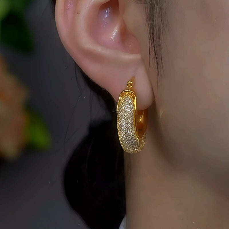 Model showcasing the dangle and style of the 14K Gold-Plated Mesh Crystal Earrings